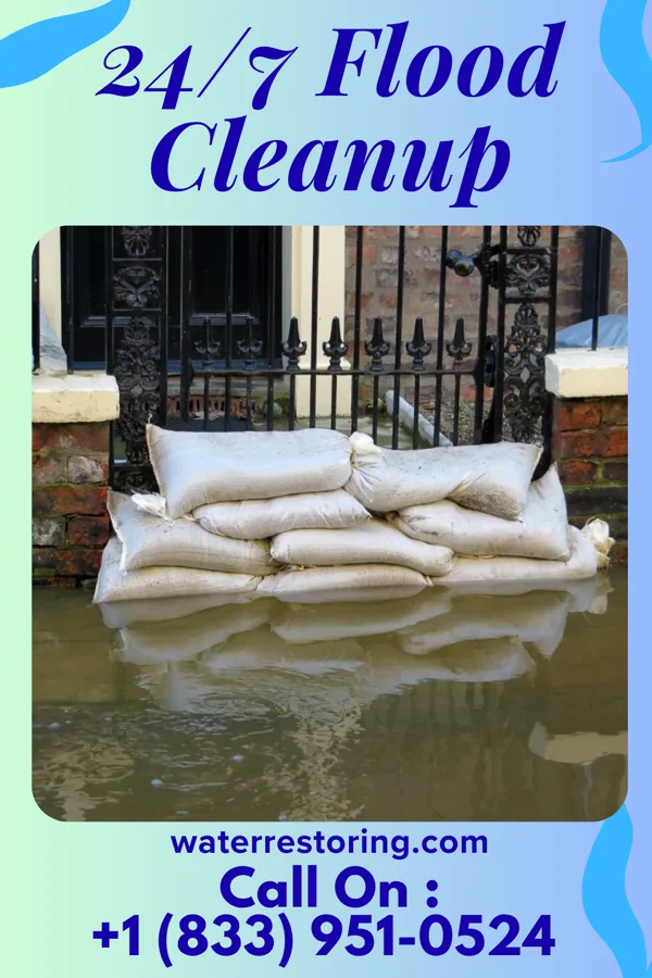 24/7 Flood Cleanup in New Boston, IL