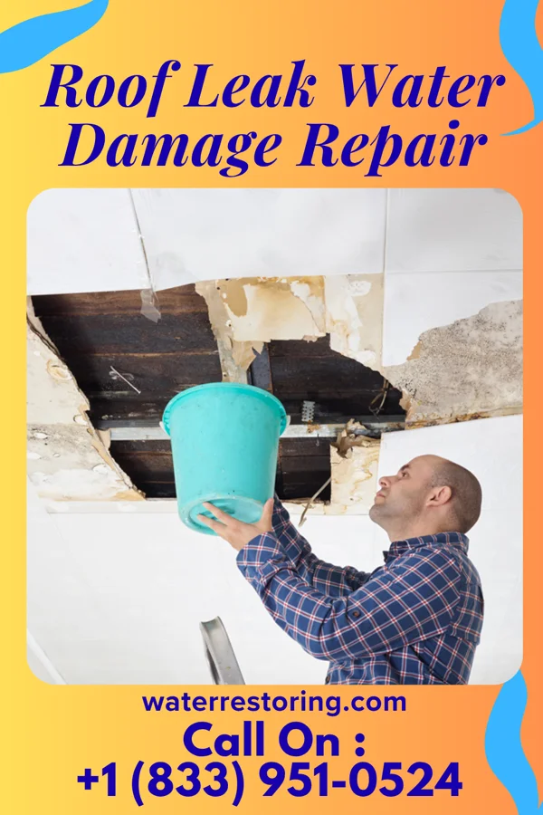 Roof Leak Water Damage Repair in New Boston, IL