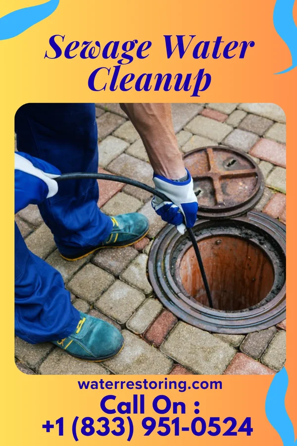 Sewage Water Cleanup in New Boston, IL